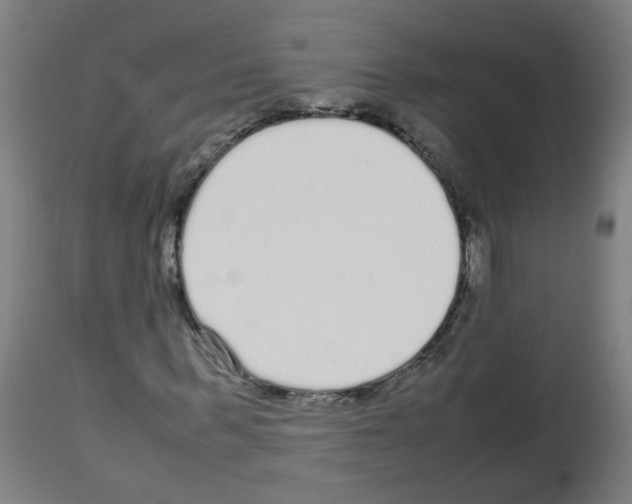 X0000113010963200910081219