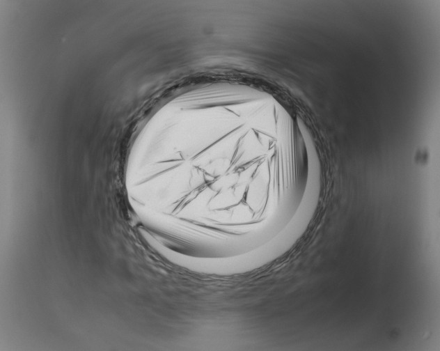 X0000113010965200910081219