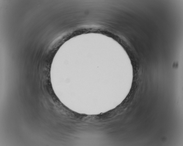 X0000113010967200910081219