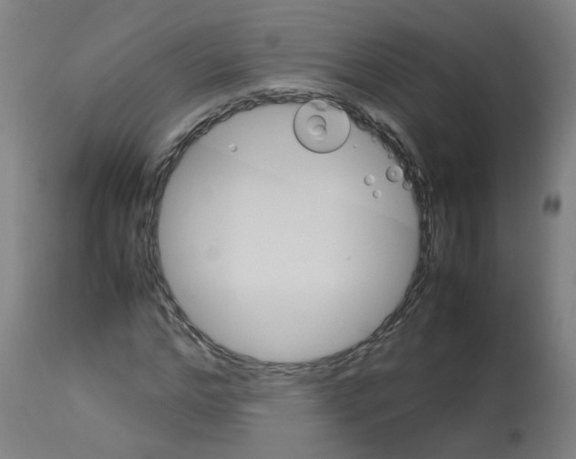 X0000113010968200910081219