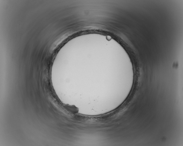 X0000113010969200910081219