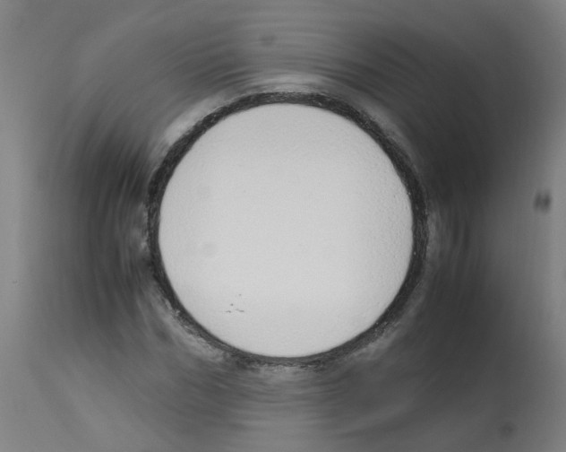X0000113010970200910081219