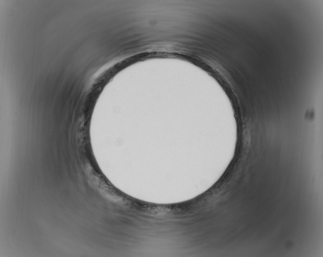 X0000113010971200910081219