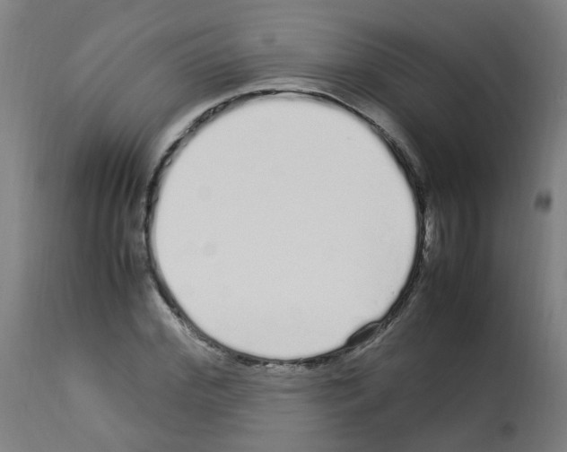 X0000113010972200910081219