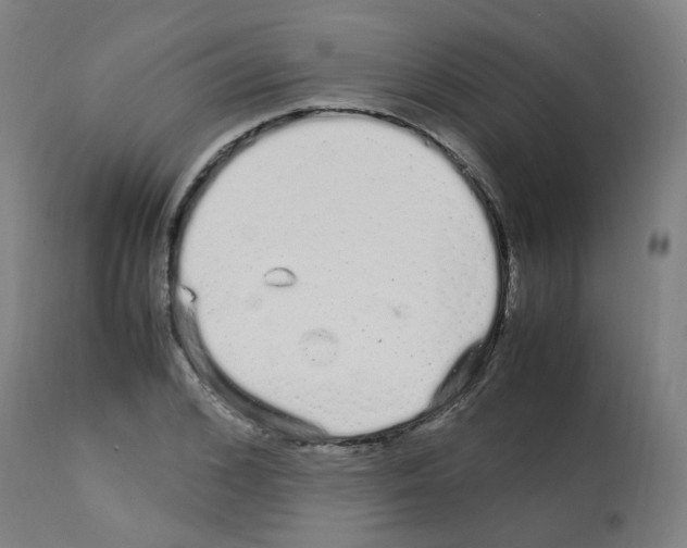 X0000113010976200910081219