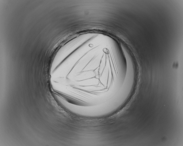 X0000113010977200910081219