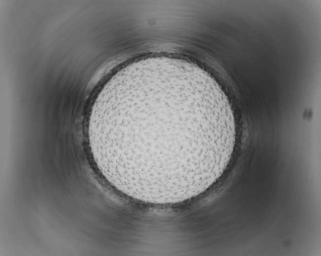 X0000113010978200910081219