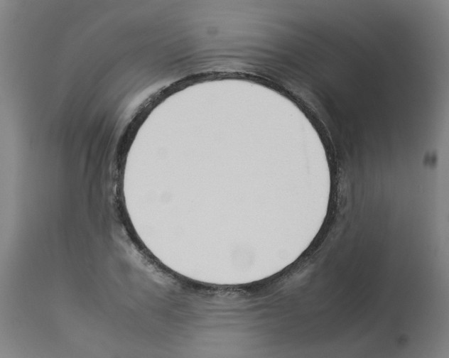 X0000113010979200910081219