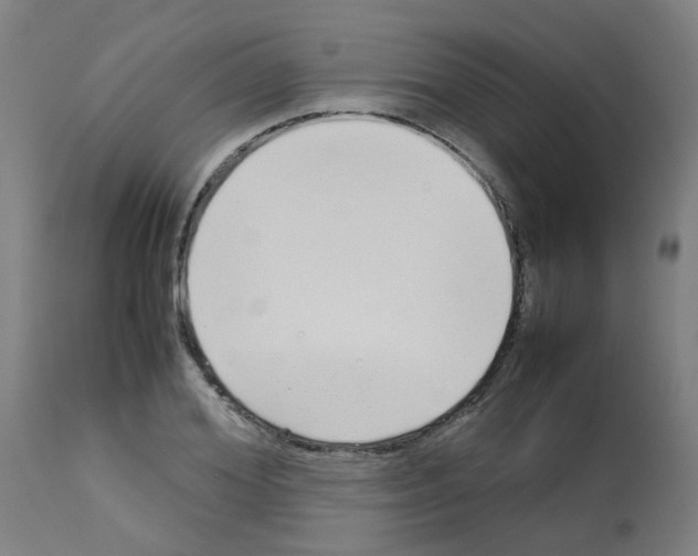 X0000113010980200910081219