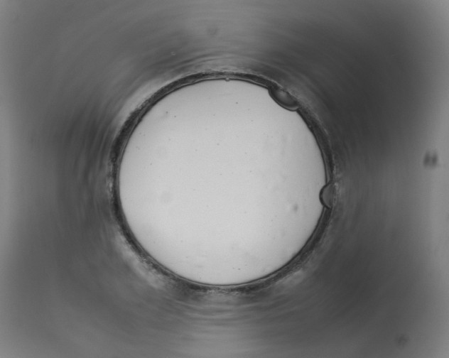 X0000113010981200910081219