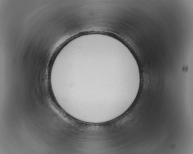 X0000113010982200910081219