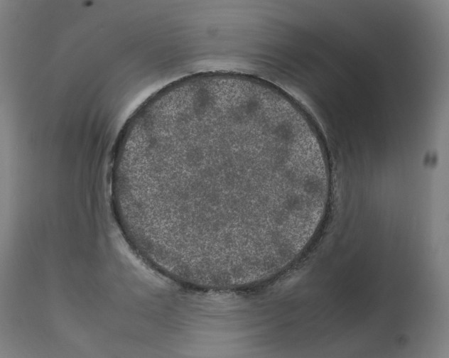 X0000113010983200910081219