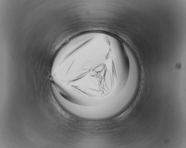 X0000113010985200910081219