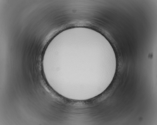 X0000113010986200910081219