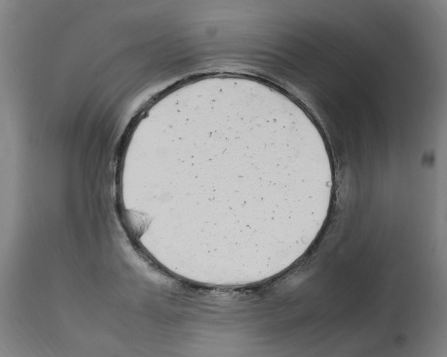 X0000113010987200910081219