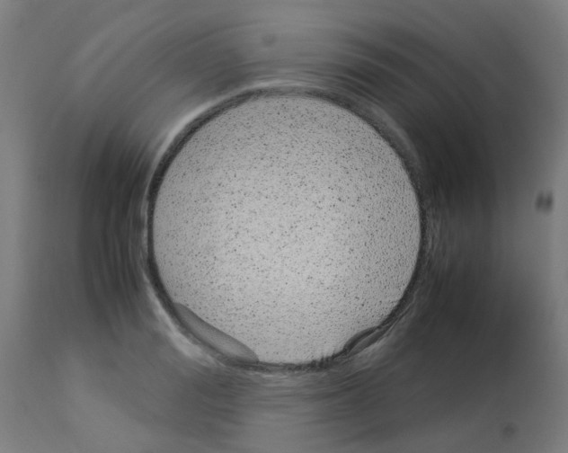 X0000113010988200910081218