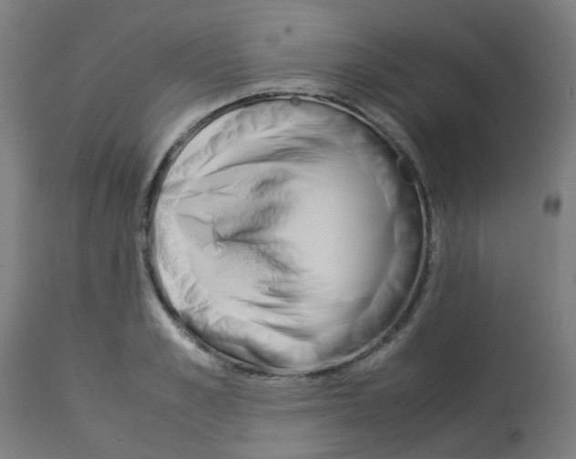 X0000113010989200910081218