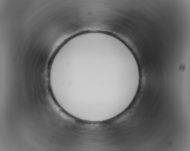 X0000113010990200910081218