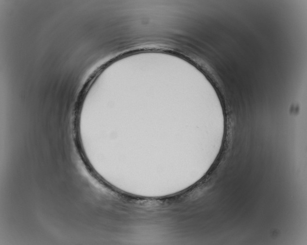 X0000113010991200910081218