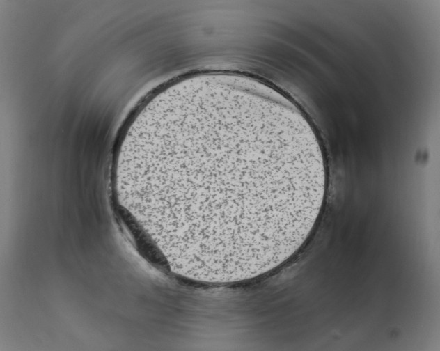 X0000113010992200910081218