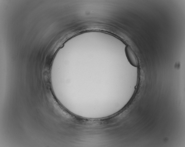X0000113010993200910081218