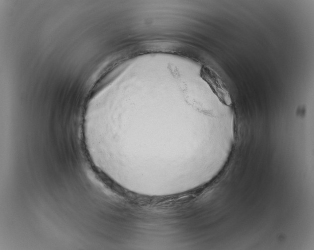 X0000113010994200910081218