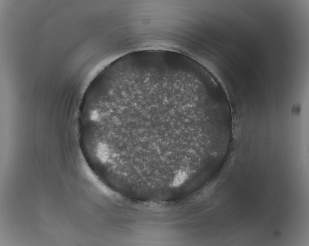 X0000113010995200910081218