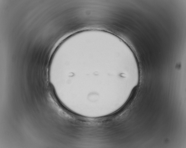 X0000113010996200910081218