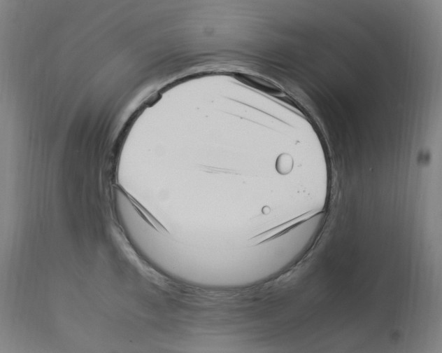 X0000113010997200910081218
