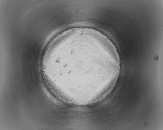 X0000113010998200910081218
