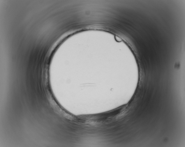 X0000113011000200910081218