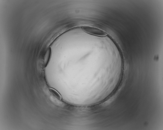 X0000113011001200910081218