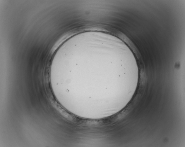 X0000113011002200910081218