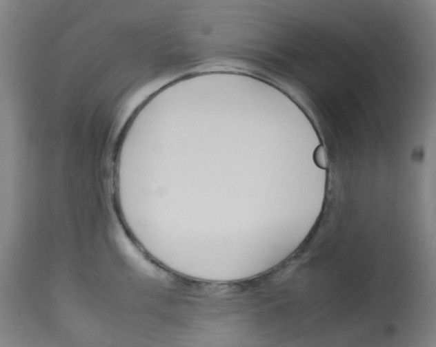 X0000113011003200910081218