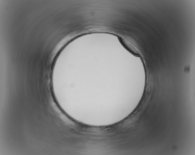 X0000113011005200910081218