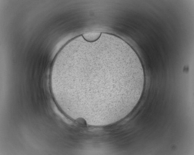 X0000113011006200910081218