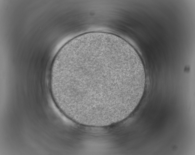 X0000113011007200910081218