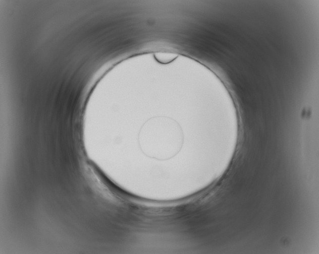 X0000113011008200910081218