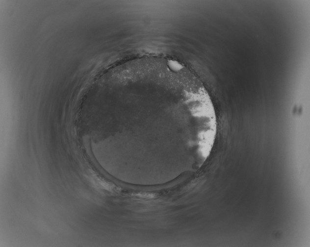 X0000113011009200910081217