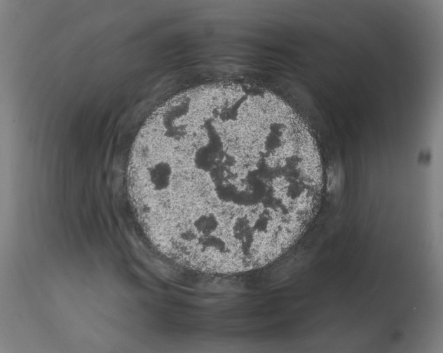 X0000113011011200910081217