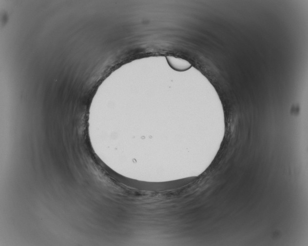 X0000113011012200910081217
