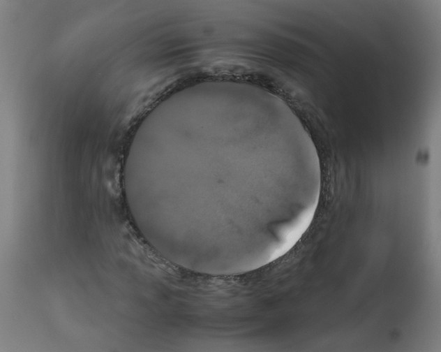 X0000113011013200910081217