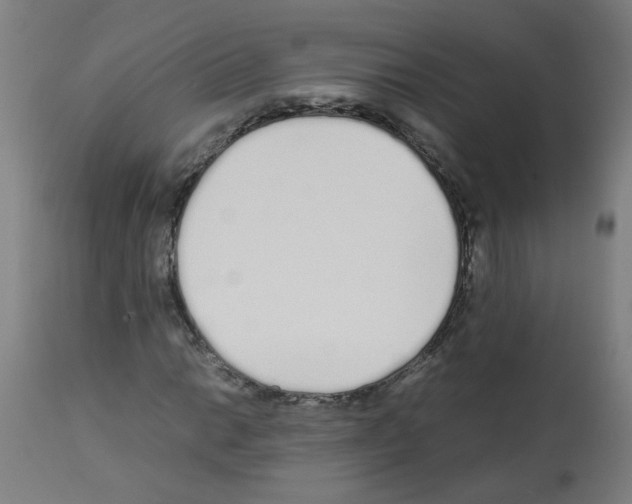 X0000113011014200910081217