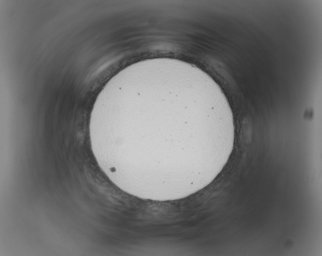 X0000113011015200910081217