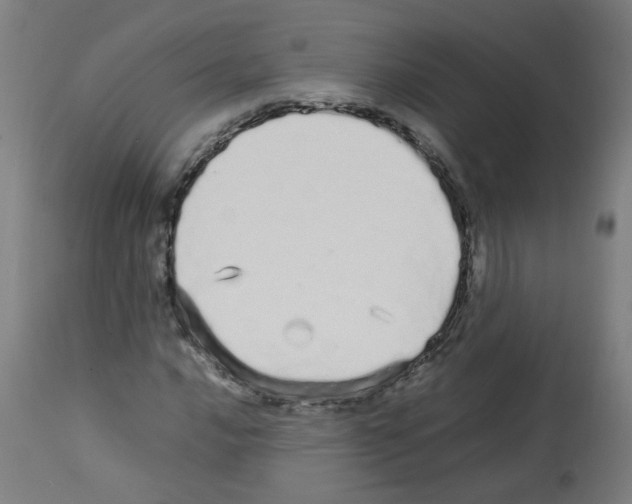 X0000113011016200910081217