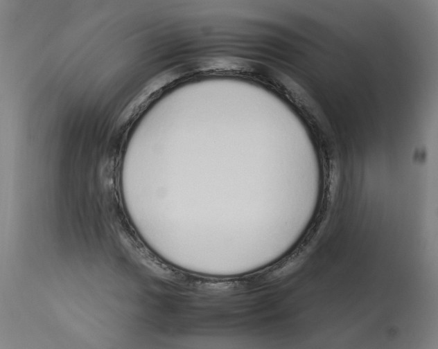 X0000113011017200910081218