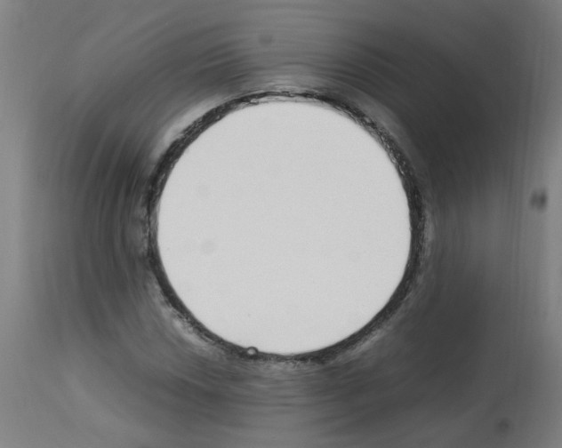 X0000113011018200910081218