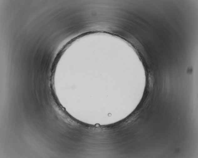 X0000113011020200910081218