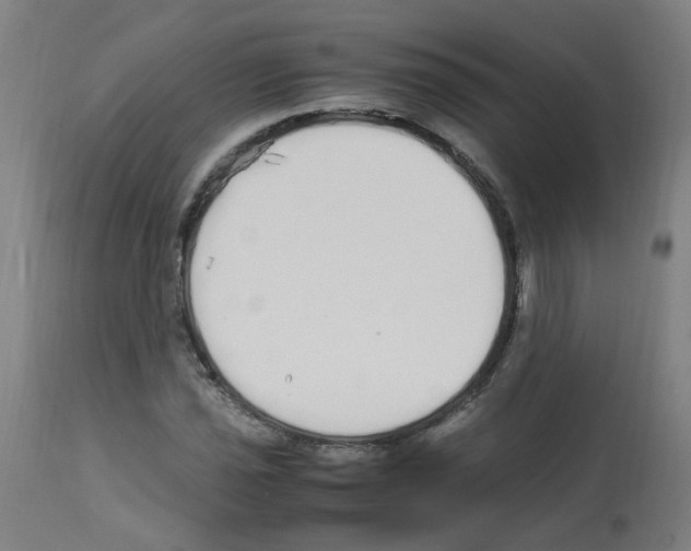 X0000113011021200910081218