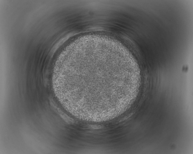 X0000113011023200910081218